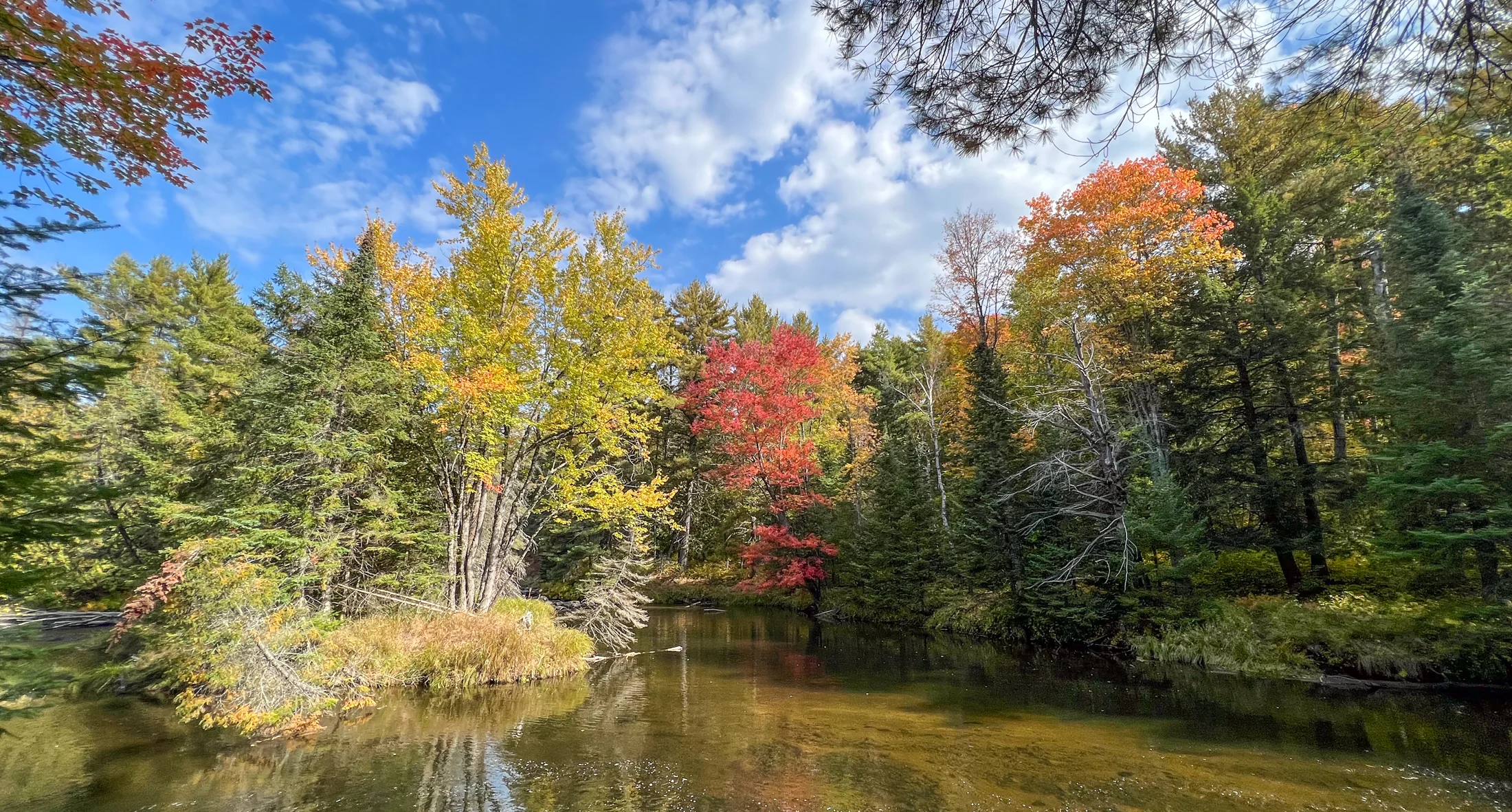Fall trees and stream - Ontario greenspace